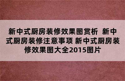 新中式厨房装修效果图赏析  新中式厨房装修注意事项 新中式厨房装修效果图大全2015图片